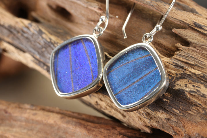 Morpho Butterfly Dangle Earrings