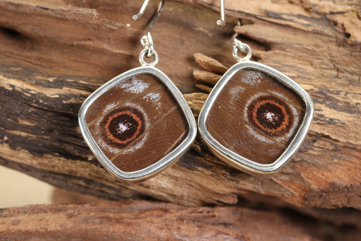 Morpho Butterfly Dangle Earrings