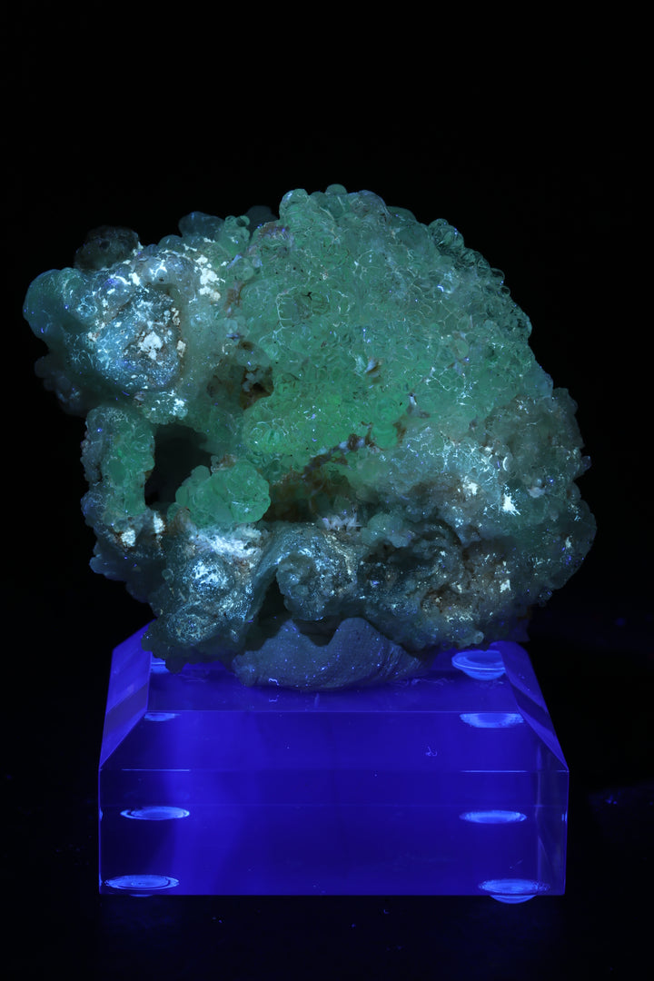Mexican Hyalite Opal Specimen DX1367