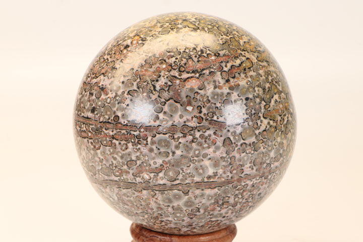 4" Leopard Skin Jasper Sphere DX1662