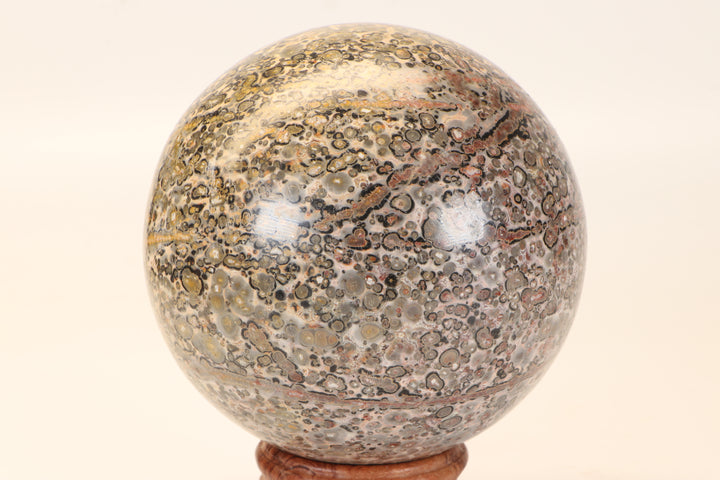 4" Leopard Skin Jasper Sphere DX1662
