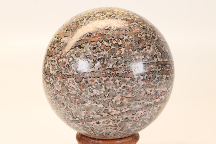 4" Leopard Skin Jasper Sphere DX1662