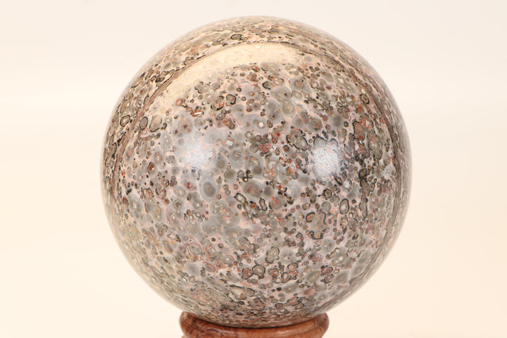 4" Leopard Skin Jasper Sphere DX1662