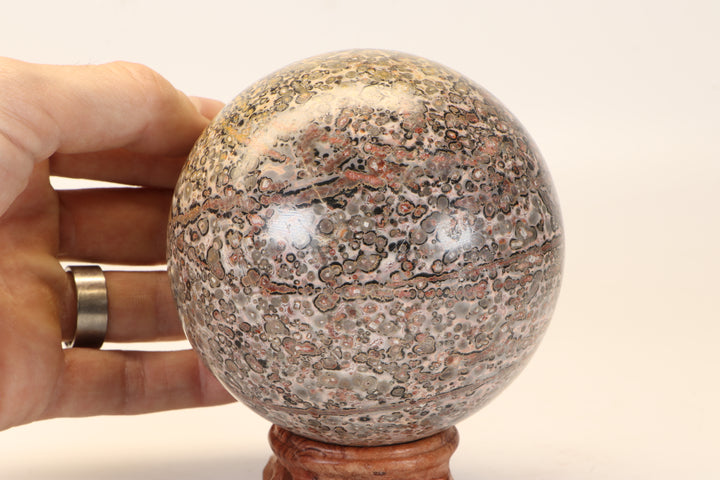 4" Leopard Skin Jasper Sphere DX1662
