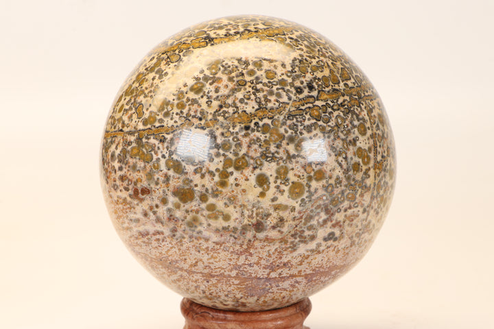 4.25" Leopard Skin Jasper Sphere DX1664