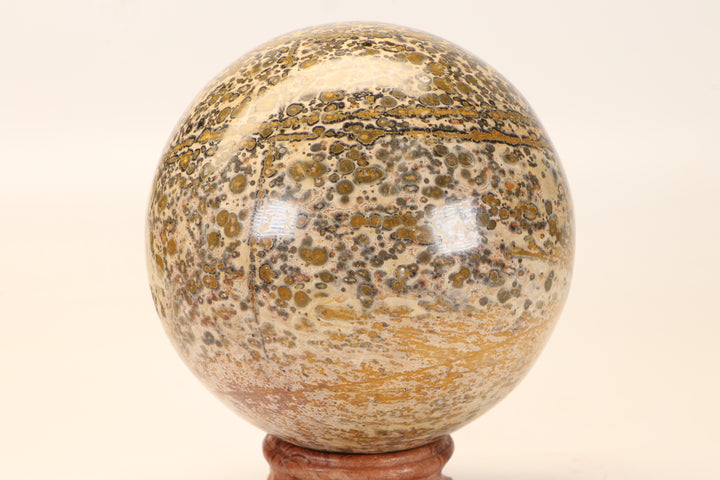 4.25" Leopard Skin Jasper Sphere DX1664
