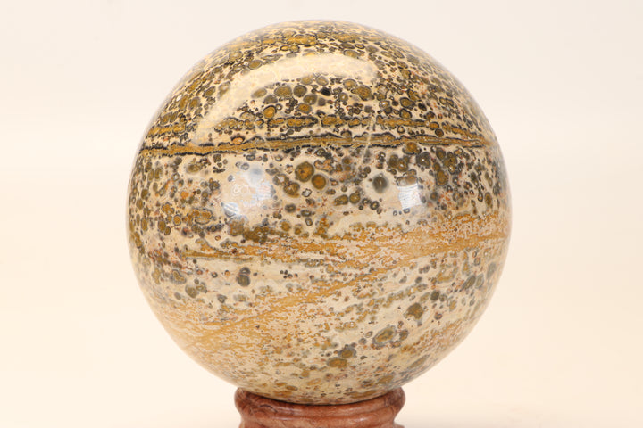 4.25" Leopard Skin Jasper Sphere DX1664