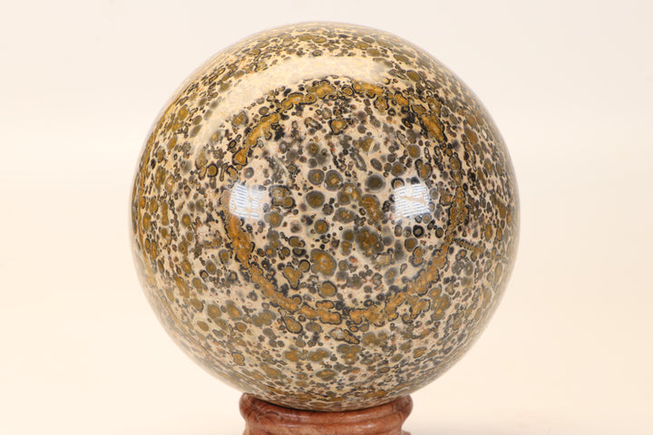 4.25" Leopard Skin Jasper Sphere DX1664