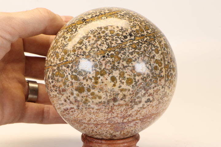 4.25" Leopard Skin Jasper Sphere DX1664