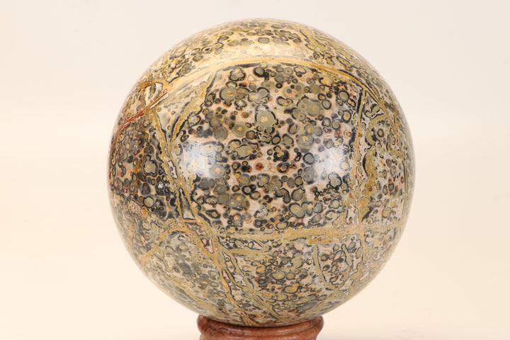 4.5" Leopard Skin Jasper Sphere DX1665