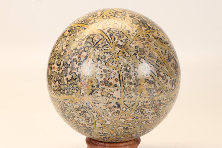 4.5" Leopard Skin Jasper Sphere DX1665