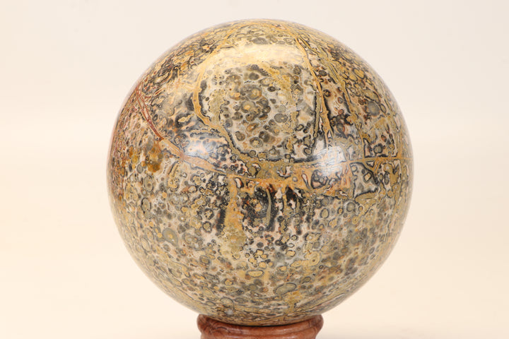 4.5" Leopard Skin Jasper Sphere DX1665