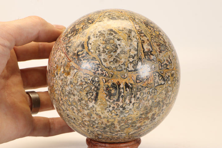 4.5" Leopard Skin Jasper Sphere DX1665