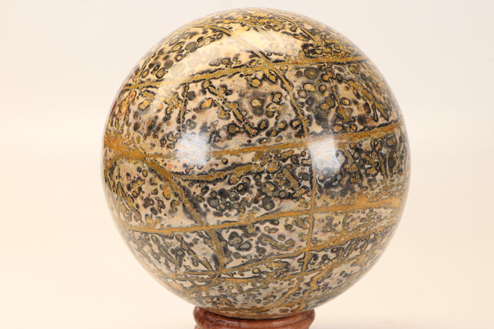 5" Leopard Skin Jasper Sphere DX1666