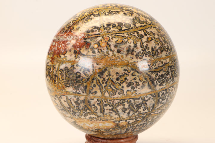 5" Leopard Skin Jasper Sphere DX1666