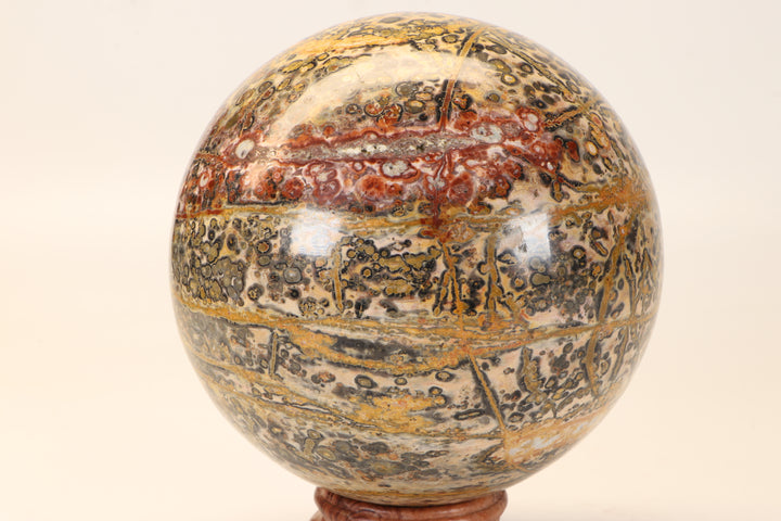 5" Leopard Skin Jasper Sphere DX1666