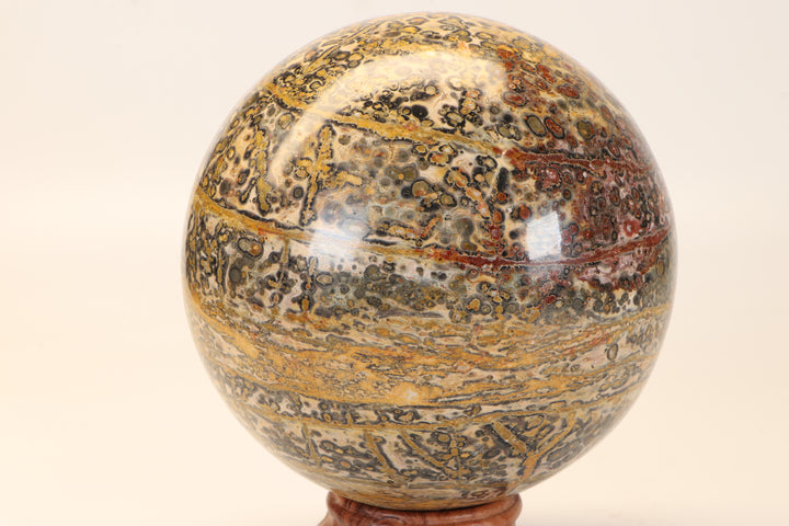 5" Leopard Skin Jasper Sphere DX1666