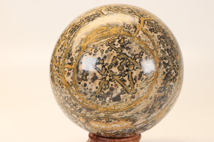 5" Leopard Skin Jasper Sphere DX1666