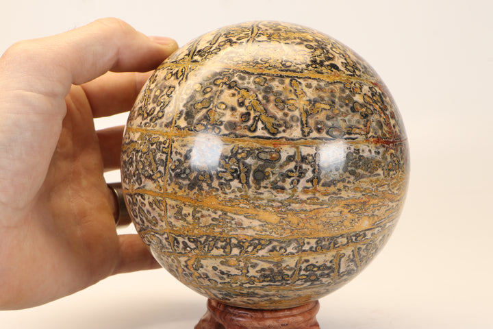 5" Leopard Skin Jasper Sphere DX1666