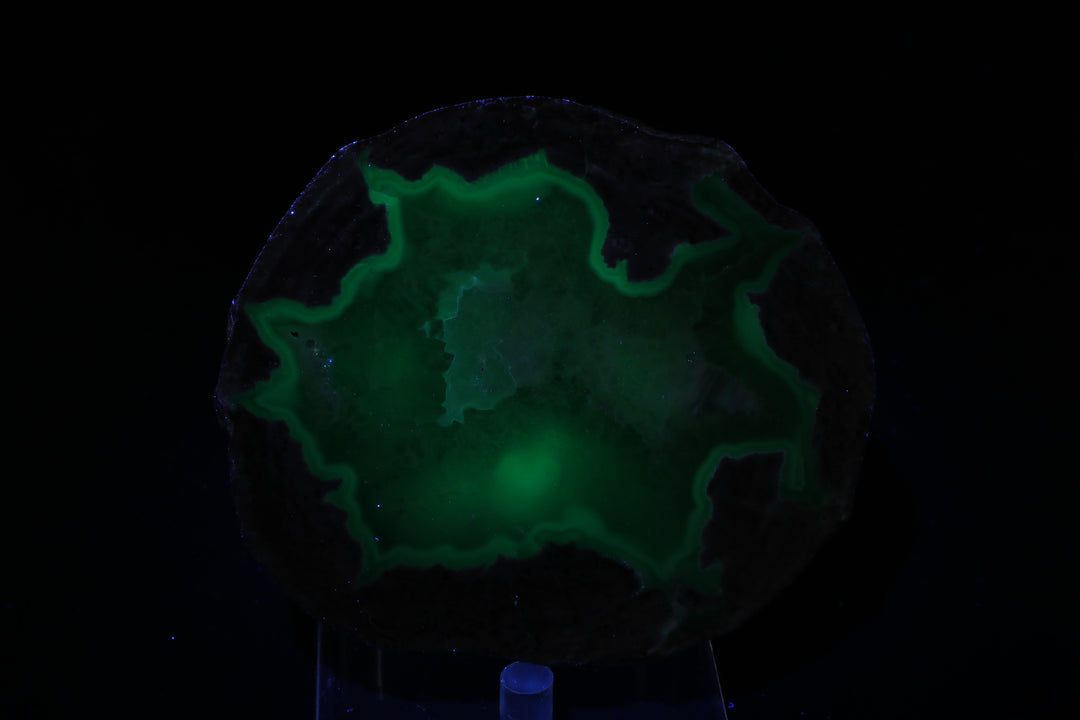 Dugway Geode DX221