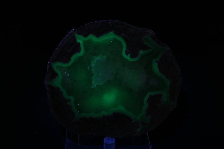 Dugway Geode DX221