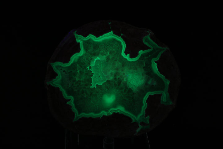 Dugway Geode DX221