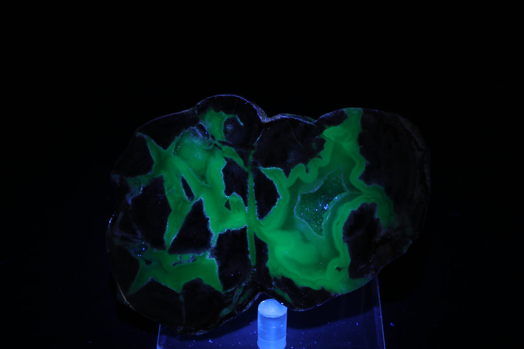 Dugway Geode DX246