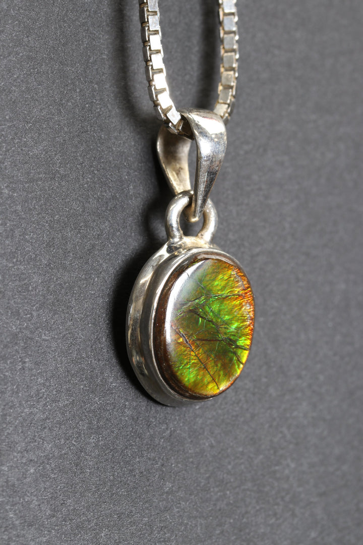 Ammolite Pendant