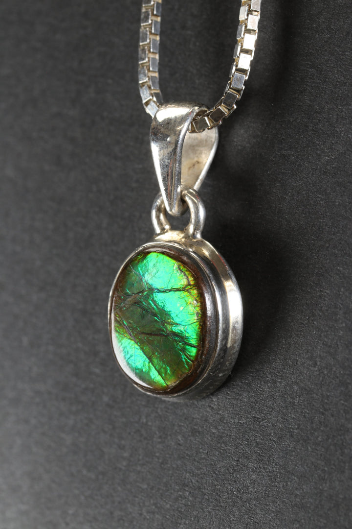 Ammolite Pendant