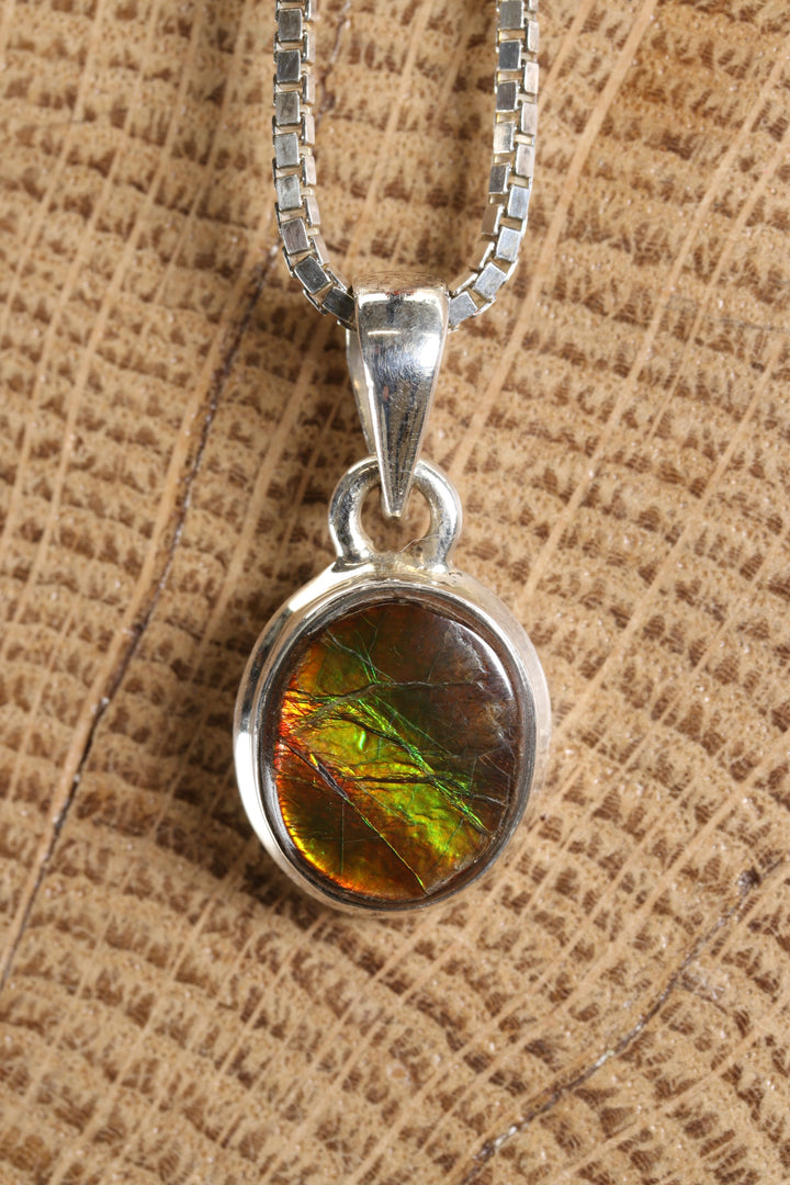Ammolite Pendant