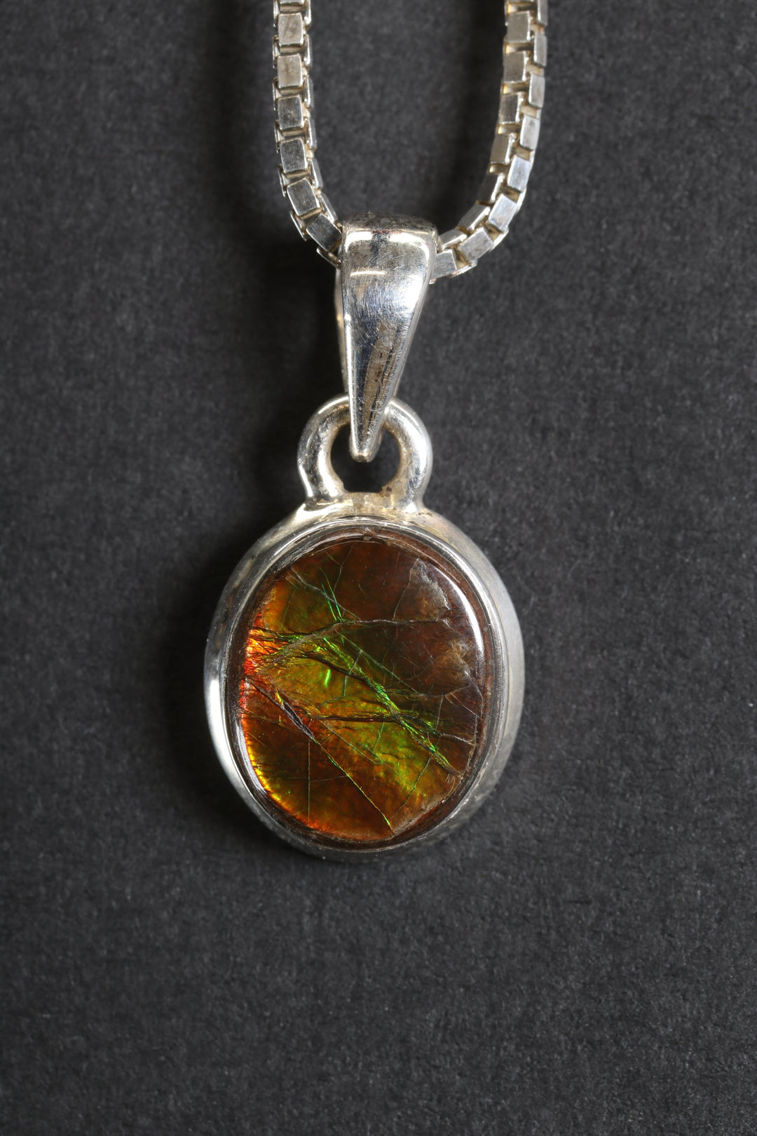 Ammolite Pendant