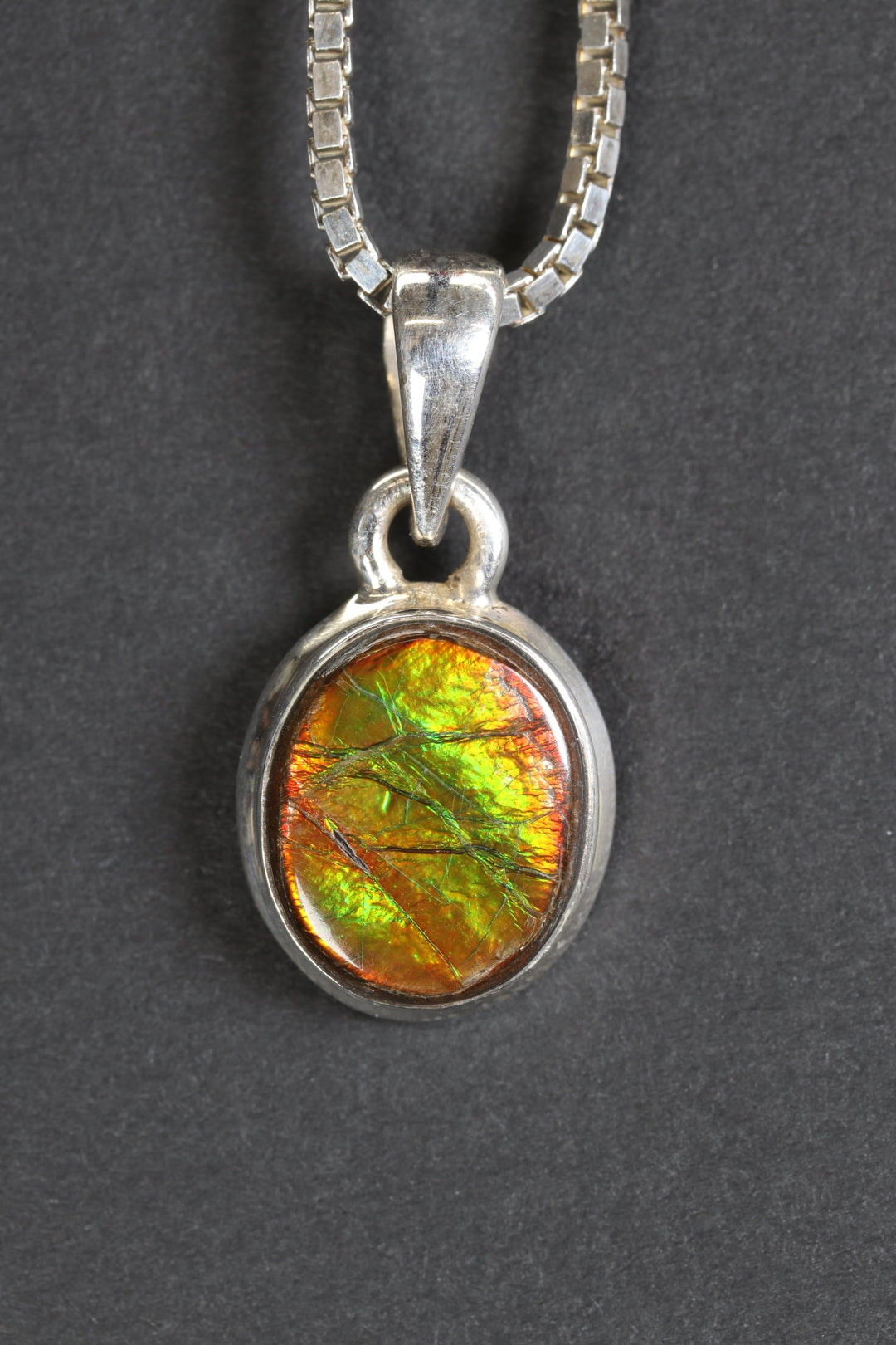 Ammolite Pendant
