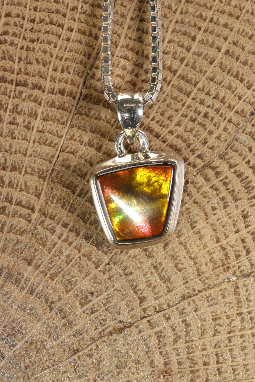 Ammolite Pendant