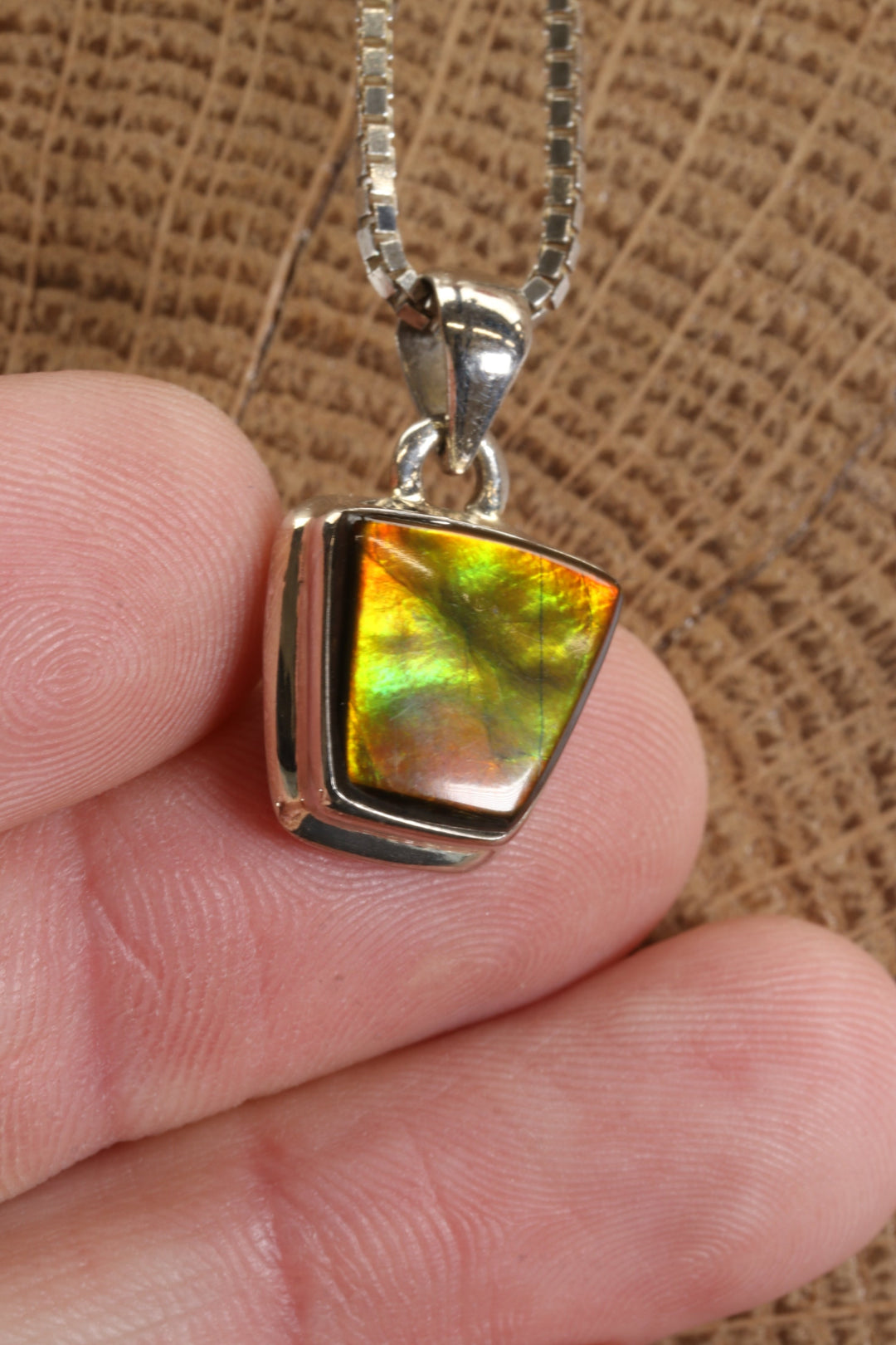 Ammolite Pendant