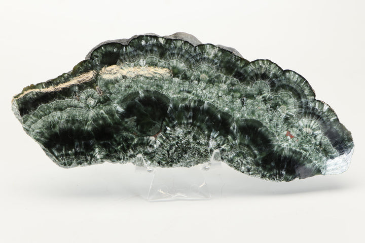 Clinochlore (Seraphinite) Slab DX4543