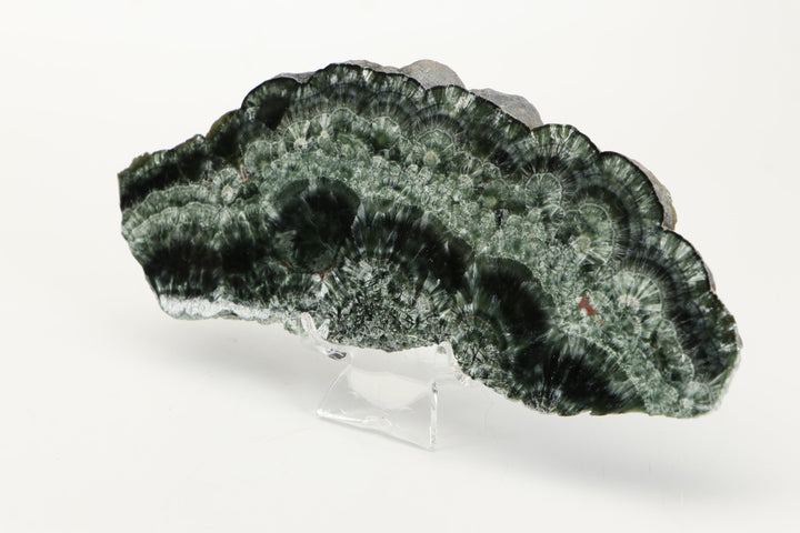 Clinochlore (Seraphinite) Slab DX4543