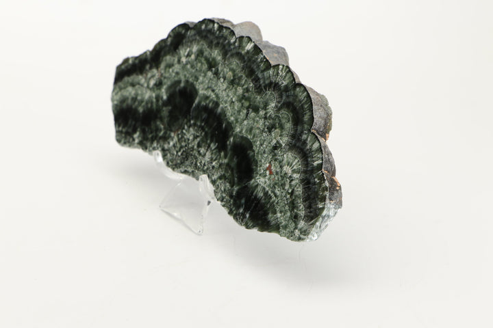 Clinochlore (Seraphinite) Slab DX4543