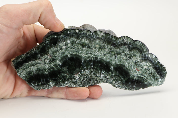 Clinochlore (Seraphinite) Slab DX4543