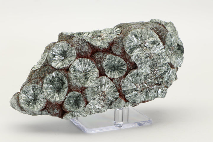 Large Botryoidal Clinochlore (Seraphinite) Specimen DX4554