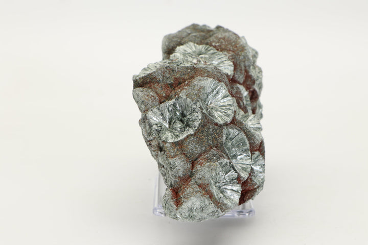Large Botryoidal Clinochlore (Seraphinite) Specimen DX4554