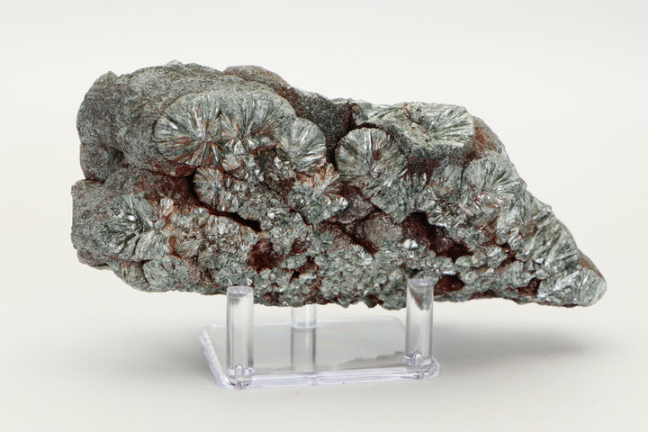 Large Botryoidal Clinochlore (Seraphinite) Specimen DX4554