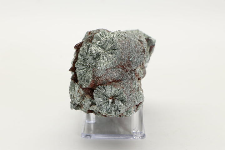 Large Botryoidal Clinochlore (Seraphinite) Specimen DX4554