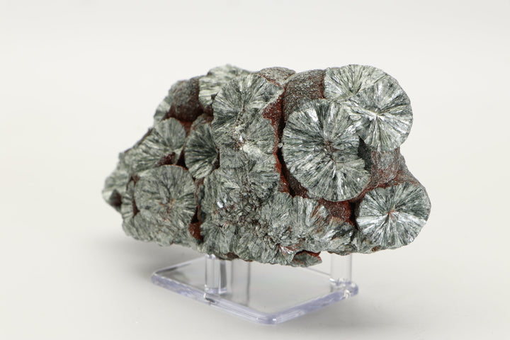 Large Botryoidal Clinochlore (Seraphinite) Specimen DX4554
