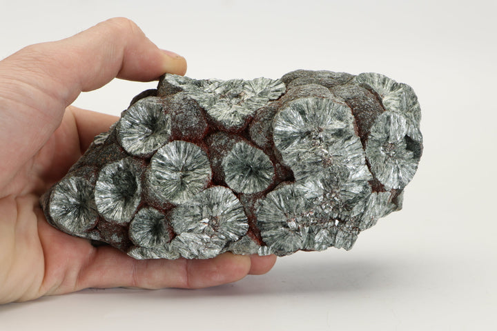 Large Botryoidal Clinochlore (Seraphinite) Specimen DX4554