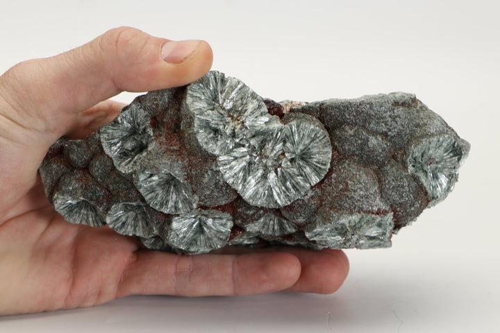 Large Botryoidal Clinochlore (Seraphinite) Specimen DX4554