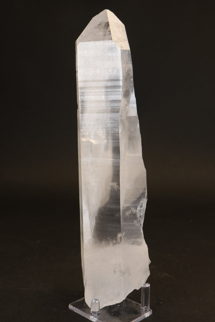 10.5" Lemurian Seed Crystal DX479