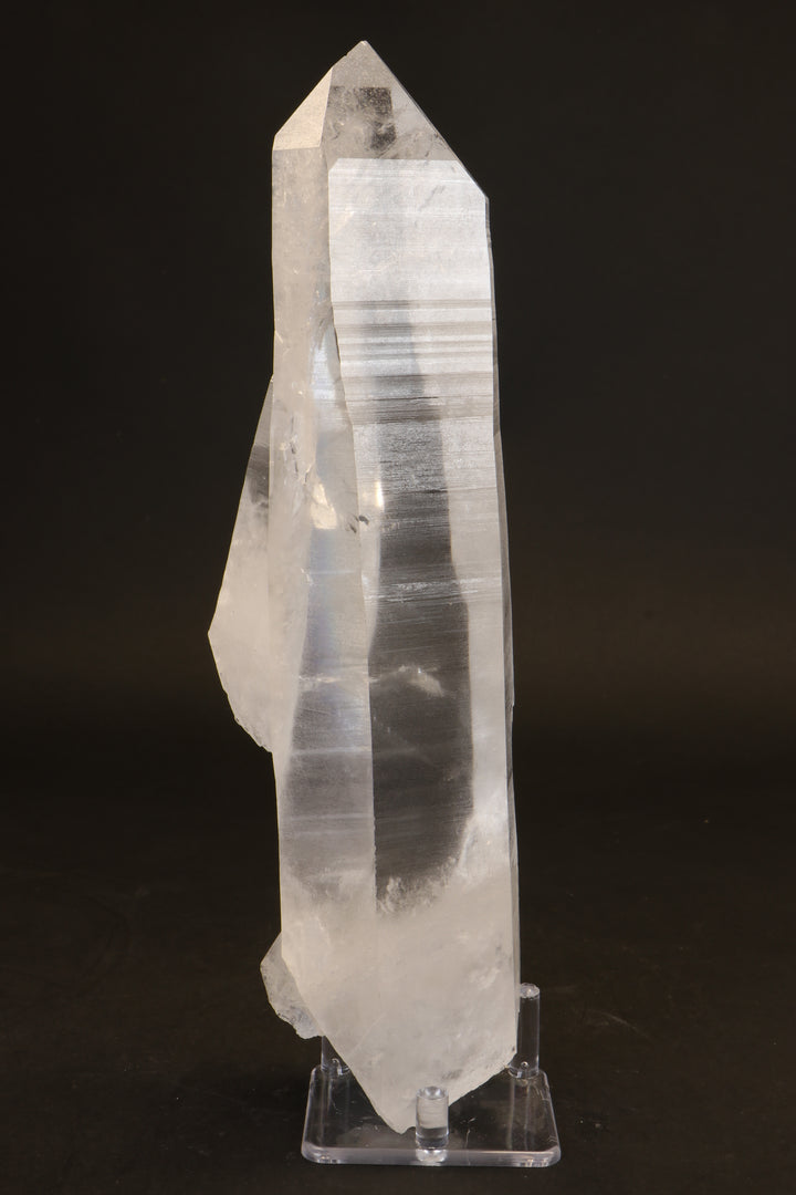10.5" Lemurian Seed Crystal DX479