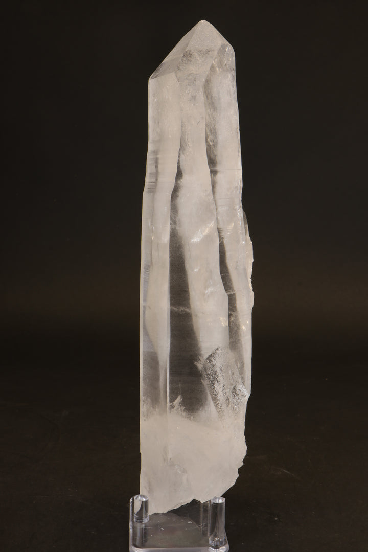 10.5" Lemurian Seed Crystal DX479