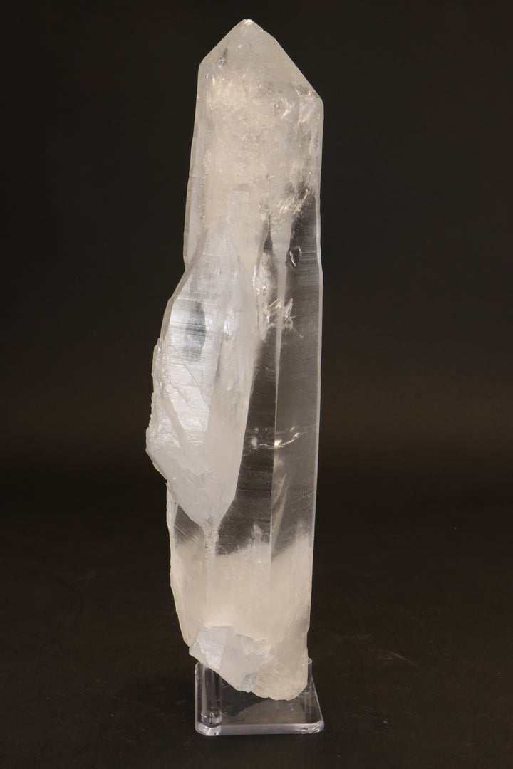 10.5" Lemurian Seed Crystal DX479