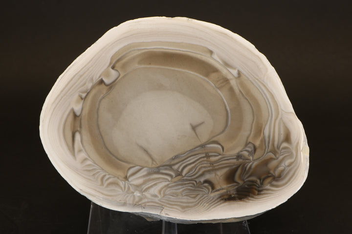 Polish Flint Nodule Display DX669